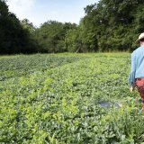 L'agriculture exprime son ras-le-bol mercredi face à des mesures d'économie jugées injustes (image prétexte/archives). KEYSTONE/LEANDRE DUGGAN